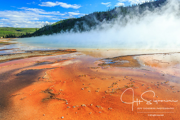 Geyser field, Yellowstone NP