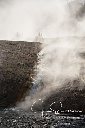 Geyser field, Yellowstone NP