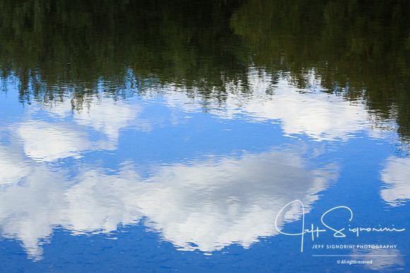 Snake River reflection