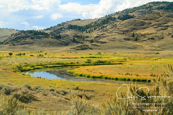 Yellowstone NP