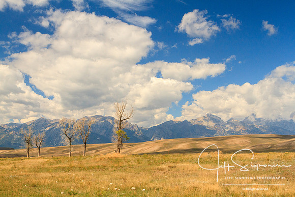 View from back side of the National Elk Refuge