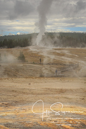 Geyser field, Yellowstone NP