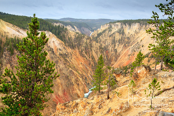 Yellowstone NP