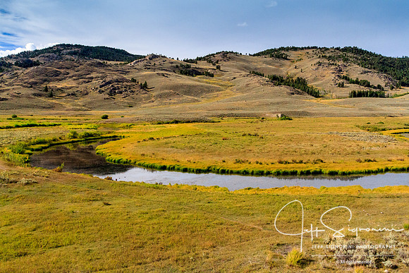 Yellowstone NP