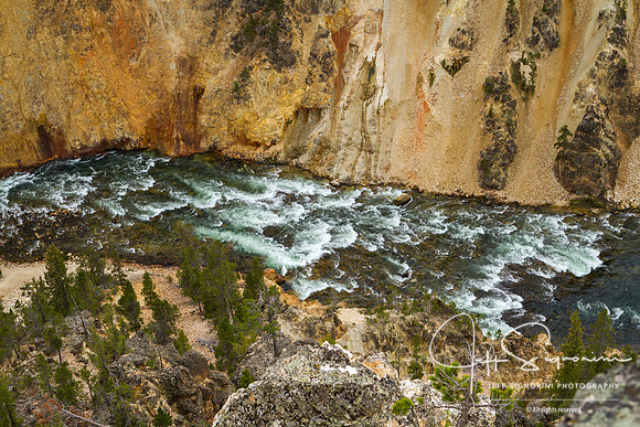 Yellowstone NP
