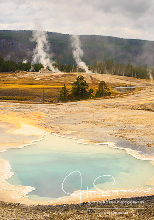 Geyser field, Yellowstone NP