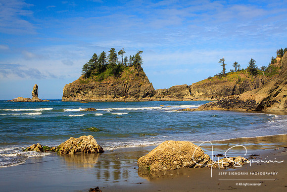 Second Beach Shoreline