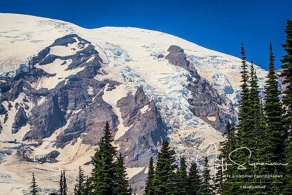 Mount Rainier Glaciers