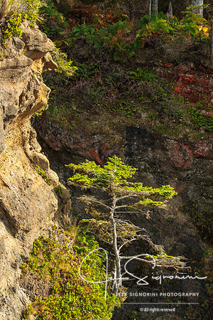 Cape Flattery