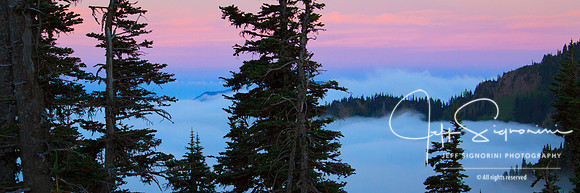 Sunset near Hurricane Ridge, Olympic National Park