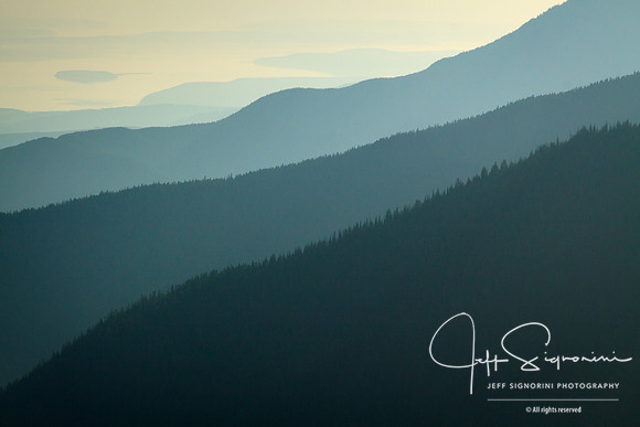 Hurricane Ridge View