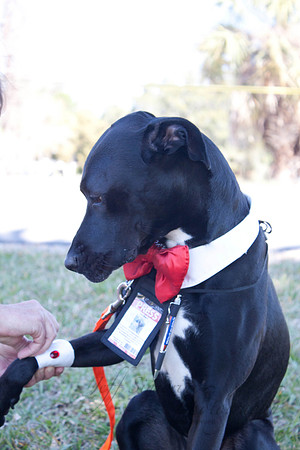 Mutt March 2011 484