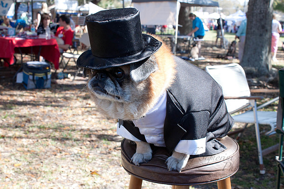 Mutt March 2011 025
