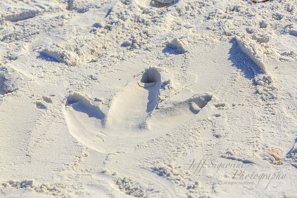Photo of foot imprint by Jeff Signorini on day of your shoot