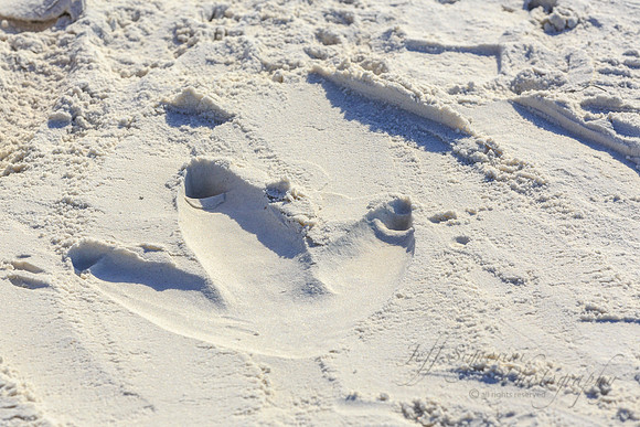 Photo of foot imprint by Jeff Signorini on day of your shoot