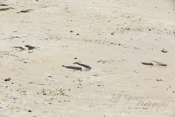 Photo of foot imprint by Jeff Signorini on day of your shoot
