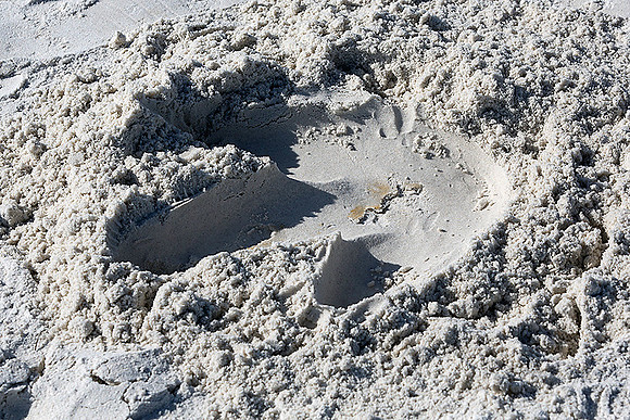 Photo of foot imprint by Jeff Signorini on day of your shoot