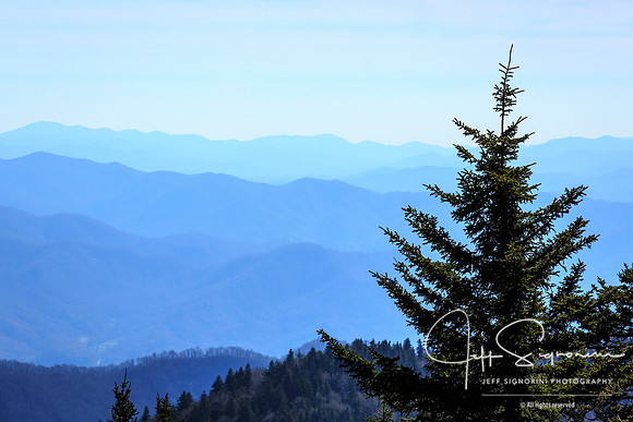 From atop Clingman's Dome