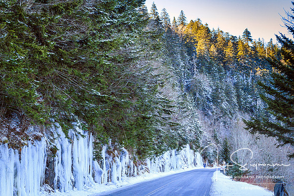 Clingman's Dome Road