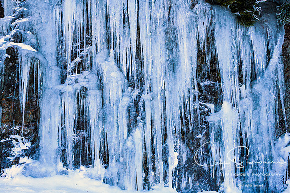 Along Clingman's Dome Road