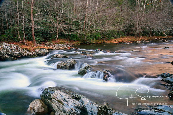 Greenbrier, GSMNP