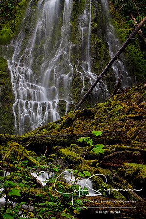 Lower Proxy Falls