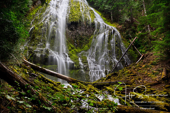 Lower Proxy Falls