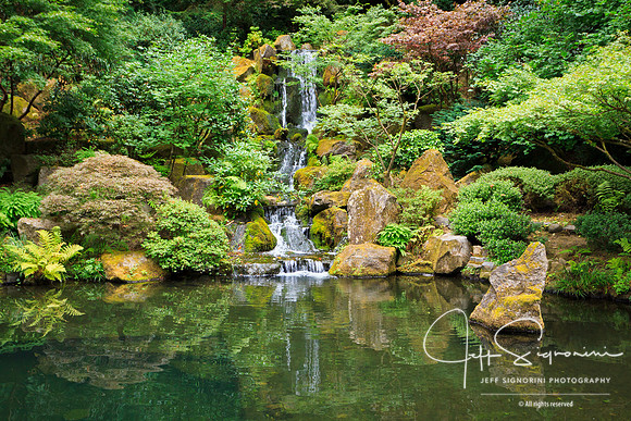 Japanese Garden, Portland