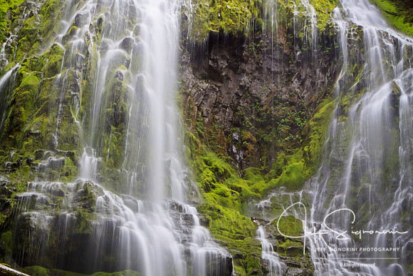 Lower Proxy Falls