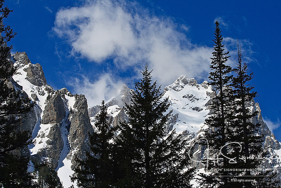 Teton Beauty