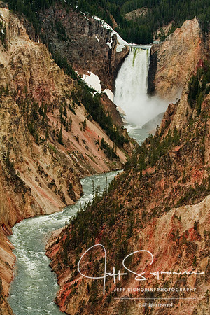 Yellowstone NP