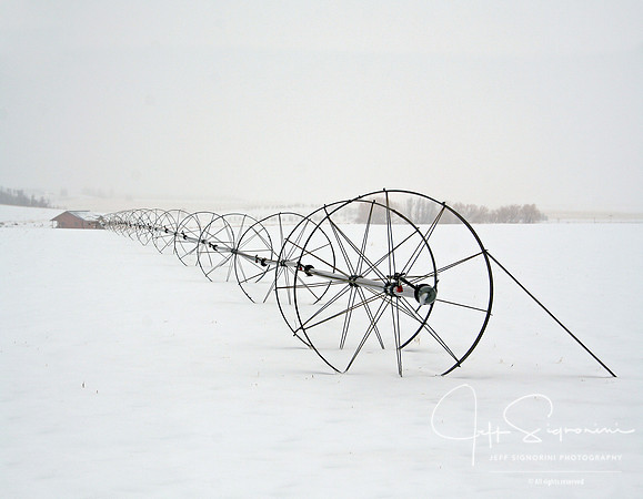 Red Barn in Winter