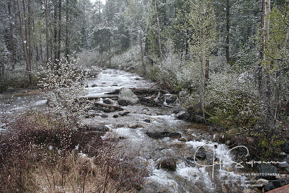 Grand Teton National Park