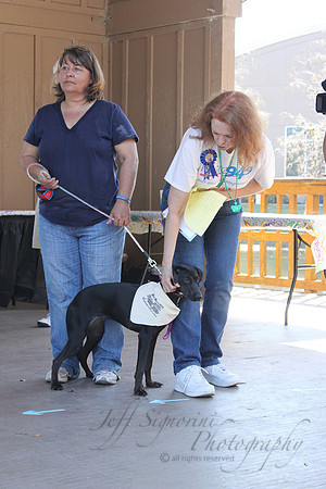 Mutt March 2011 247