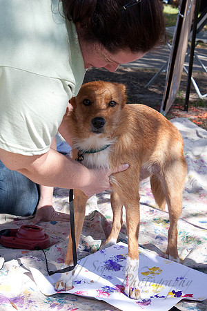 Pup Art 03