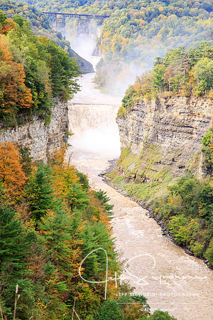 Letchworth State Park - Castile, New York