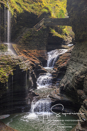 Watkins Glen State Park, Watkins Glen, New York