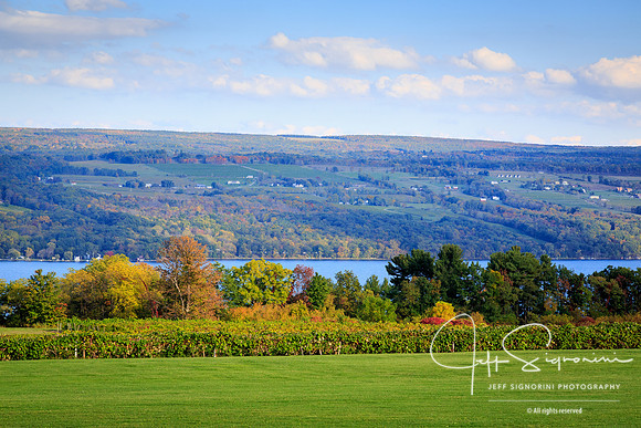 Seneca Lake - Finger Lakes area, upstate New York