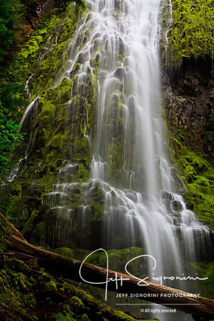 Lower Proxy Falls