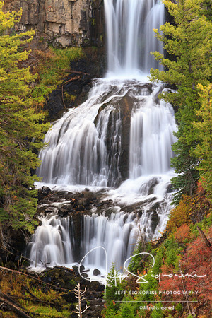 Yellowstone National Park