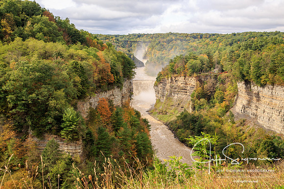 Letchworth State Park - Castile, New York