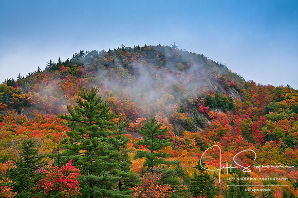 New England Morn