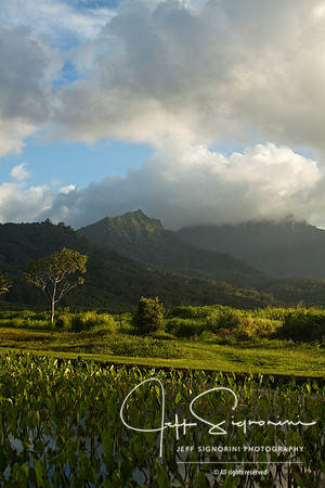Kauai, Hawaii