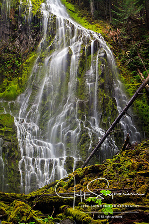 Lower Proxy Falls