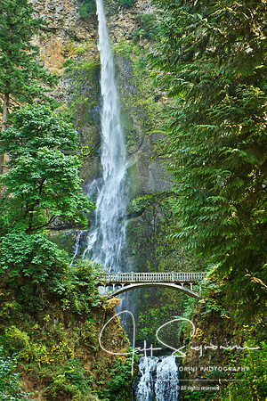 Multnomah Falls, Columbia Gorge, Oregon