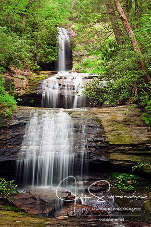 North Georgia