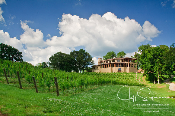 North Georgia Winery