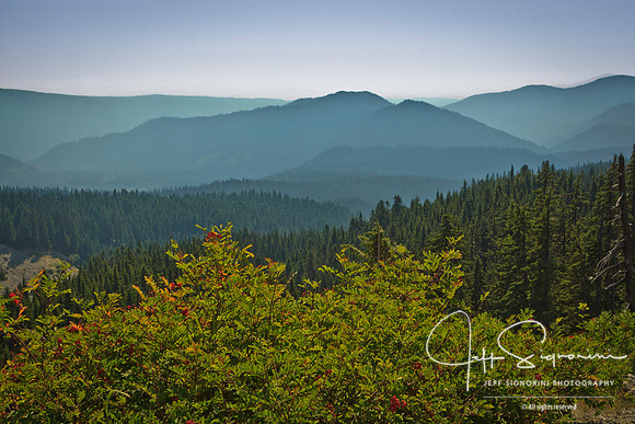 View from Mount Hood