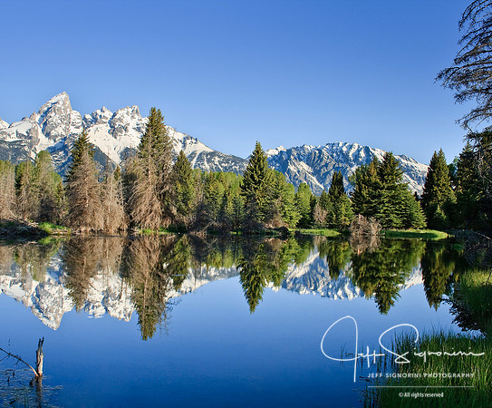 Beaver Pond, Teton National Park, Jackson, Wyoming