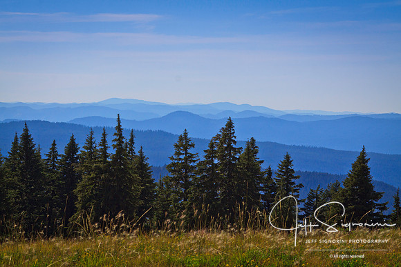 From Timberline Lodge, Mount Hood